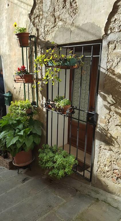 Armaiolo Relax Daire Rapolano Terme Dış mekan fotoğraf
